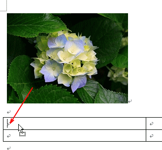 貼り付ける形式が「四角」の画像を表に挿入するには_f0215590_18282929.gif