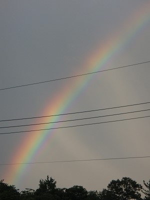 b0199498_13271.jpg
