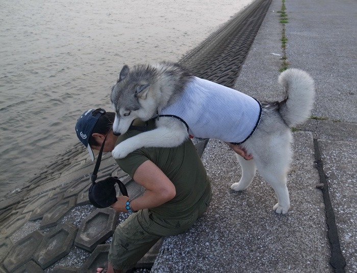 ご近所さんぽ、海までゴー! (^o^)_c0049299_10464496.jpg