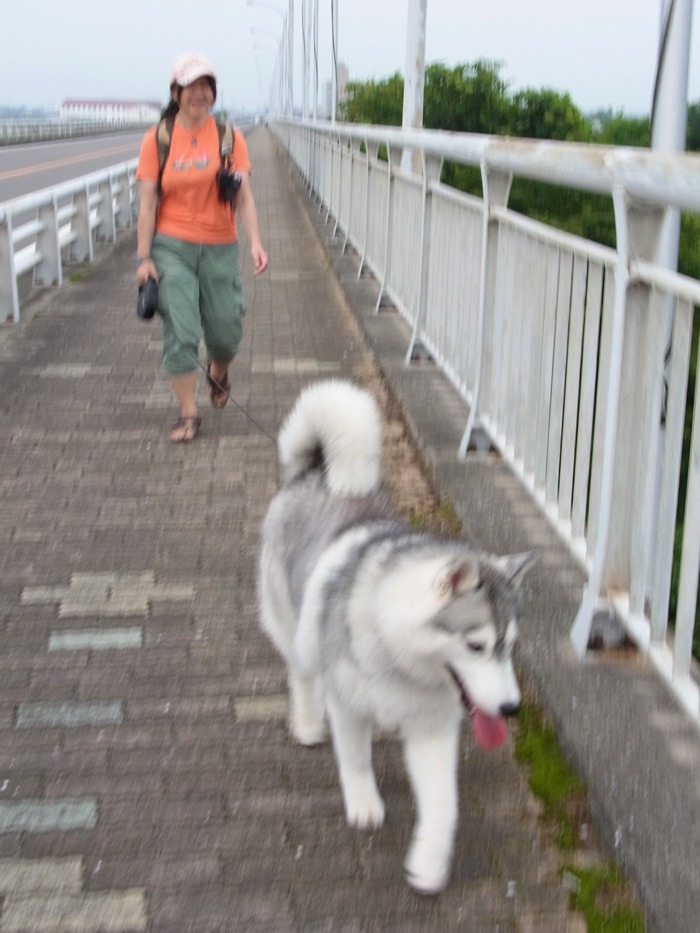 ご近所さんぽ、海までゴー! (^o^)_c0049299_10475092.jpg