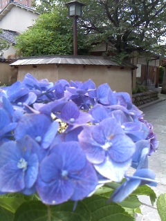 c0213599_22411528.jpg