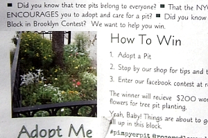 街路樹の植えてある花壇でガーデニング・コンテスト?!_b0007805_199998.jpg
