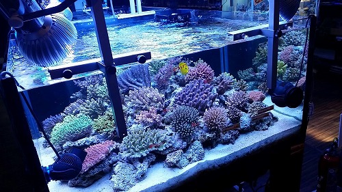 b0240608_1655414.jpg