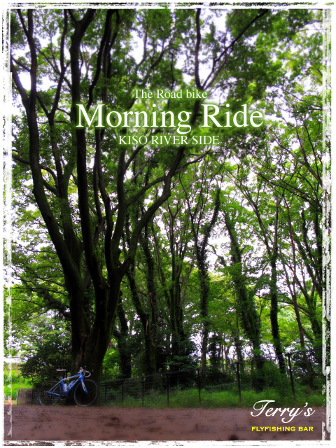 Morning Ride_e0009009_1140522.jpg