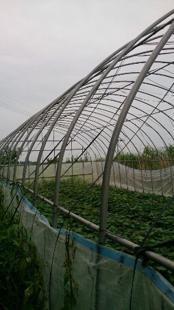 b0314016_1642323.jpg