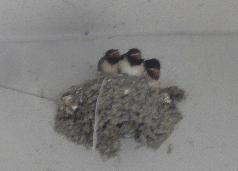 c0076218_1741836.jpg