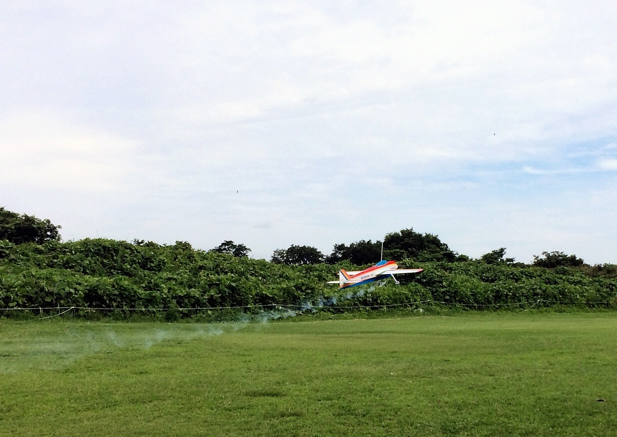 d0202319_22441297.jpg