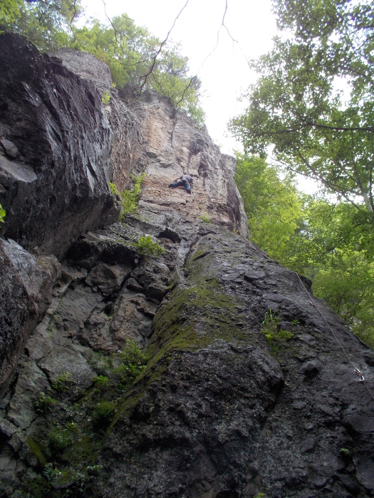 b0037220_23392436.jpg