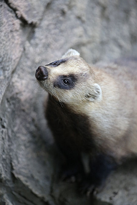 f0224624_88917.jpg