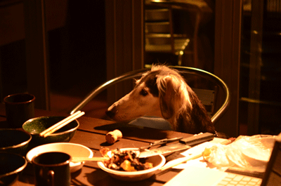 d0016727_1503158.gif