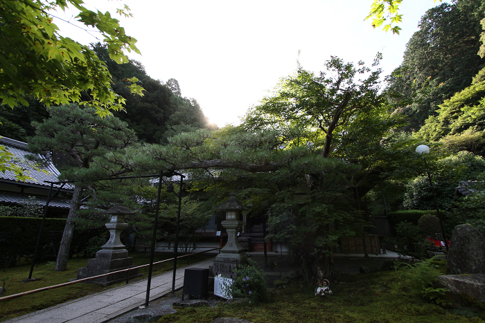 南禅寺・盛夏 －南禅寺境内（後編）_b0169330_21374631.jpg