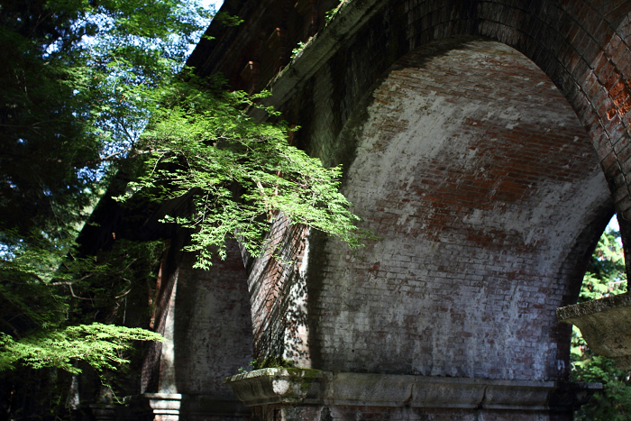 南禅寺・盛夏 －南禅寺境内（後編）_b0169330_2201317.jpg