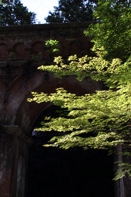 南禅寺・盛夏 －南禅寺境内（後編）_b0169330_2202072.jpg