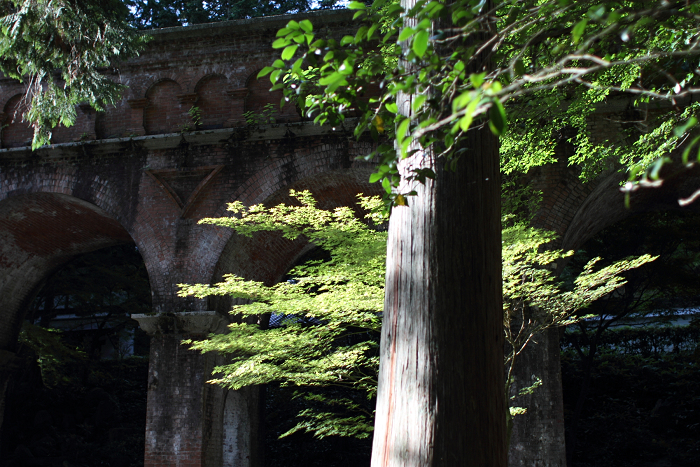 南禅寺・盛夏 －南禅寺境内（後編）_b0169330_2203432.jpg