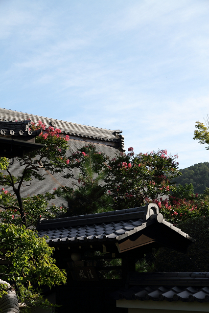 南禅寺・盛夏 －南禅寺境内（後編）_b0169330_2249685.jpg