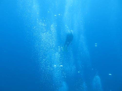 2014年7月6日(日・曇り時々小雨)室戸_d0164831_17173170.jpg