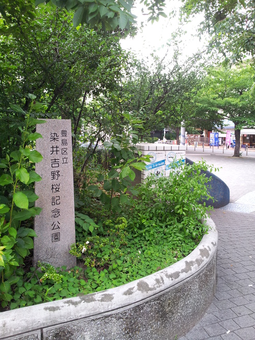 f0009031_17113963.jpg