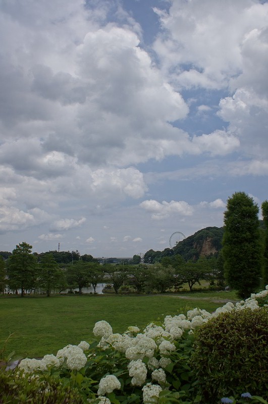 a0122932_0312.jpg