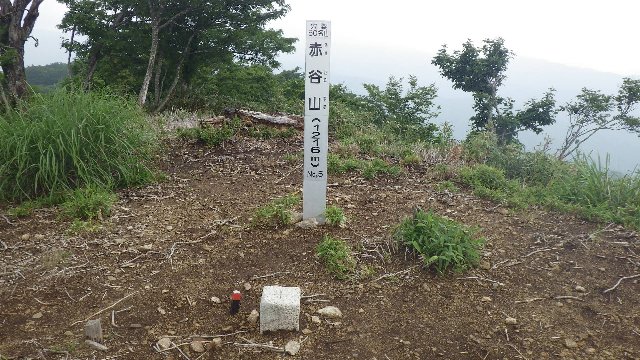 赤谷山（ふるさと兵庫１００山）_c0029332_1443223.jpg