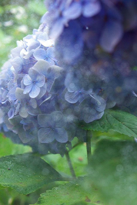c0067040_20422363.jpg