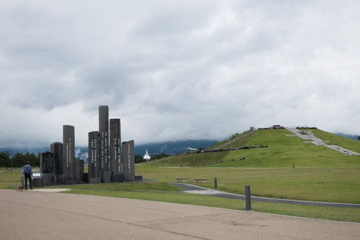 田子の浦みなと公園_f0250940_1946951.jpg