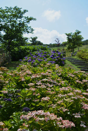 c0093046_5523377.jpg
