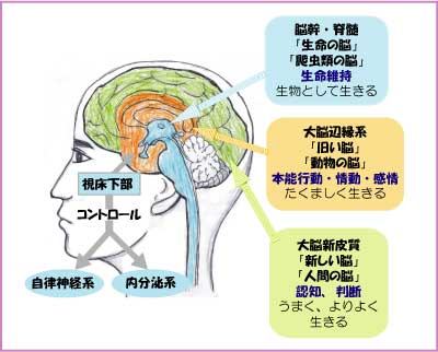 精油の香りがなぜ効果があるのか？_f0337851_19580152.jpg