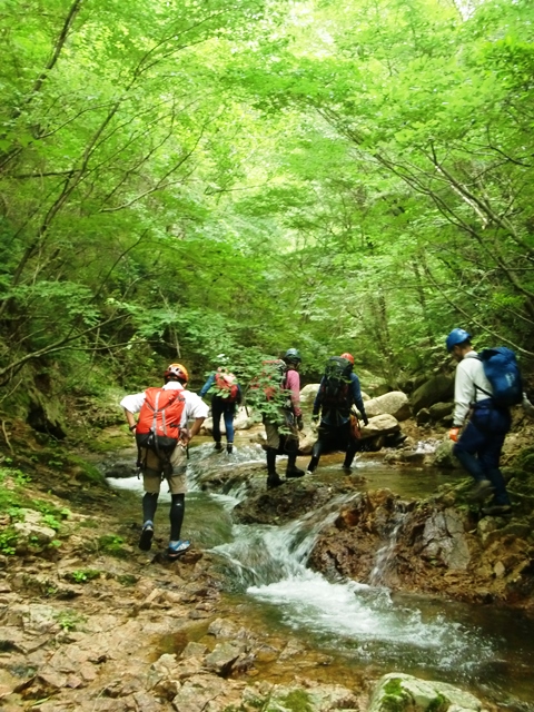 裏六甲 逢山峡_b0227552_15305860.jpg