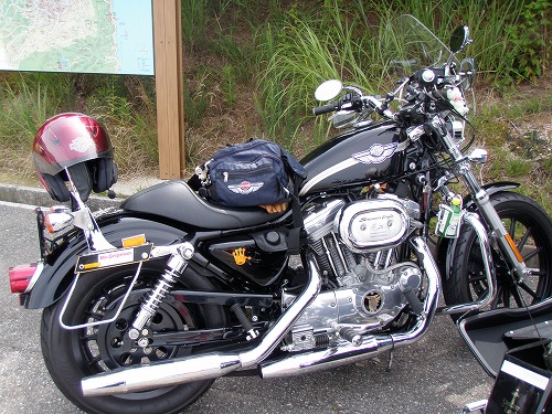 c0327752_20343725.jpg