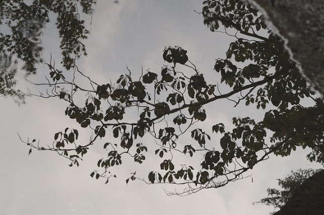 a0318954_2132249.jpg