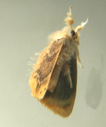 b0087556_2222917.png