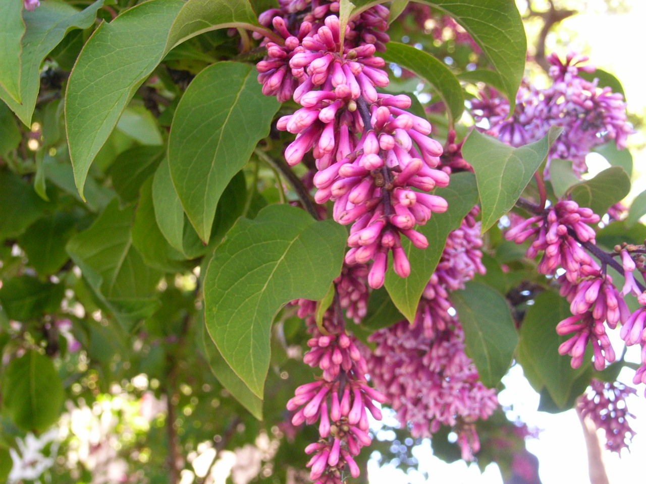 f0257756_23145514.jpg