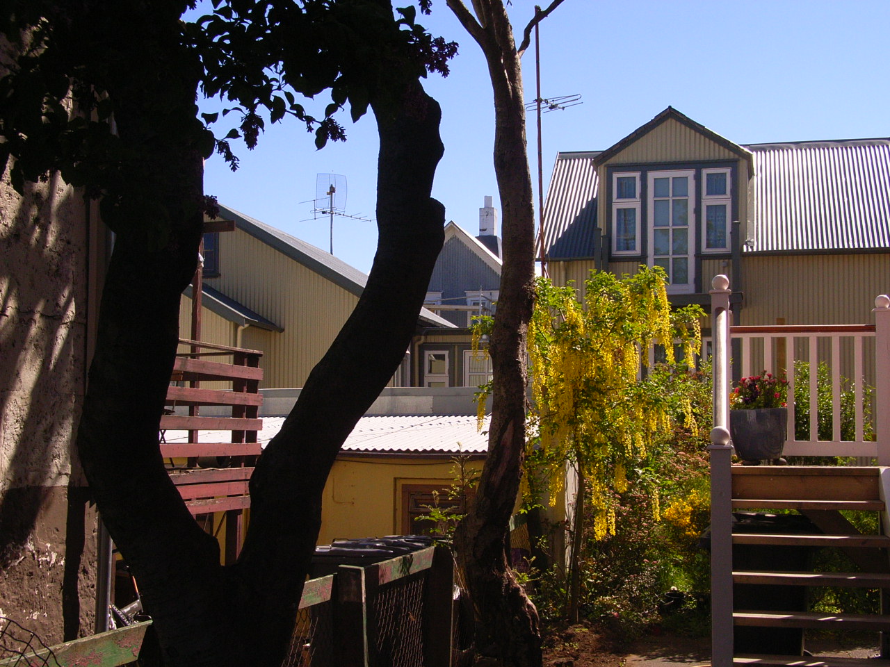f0257756_2315485.jpg
