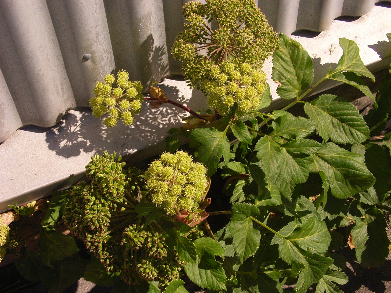 f0257756_23163331.jpg