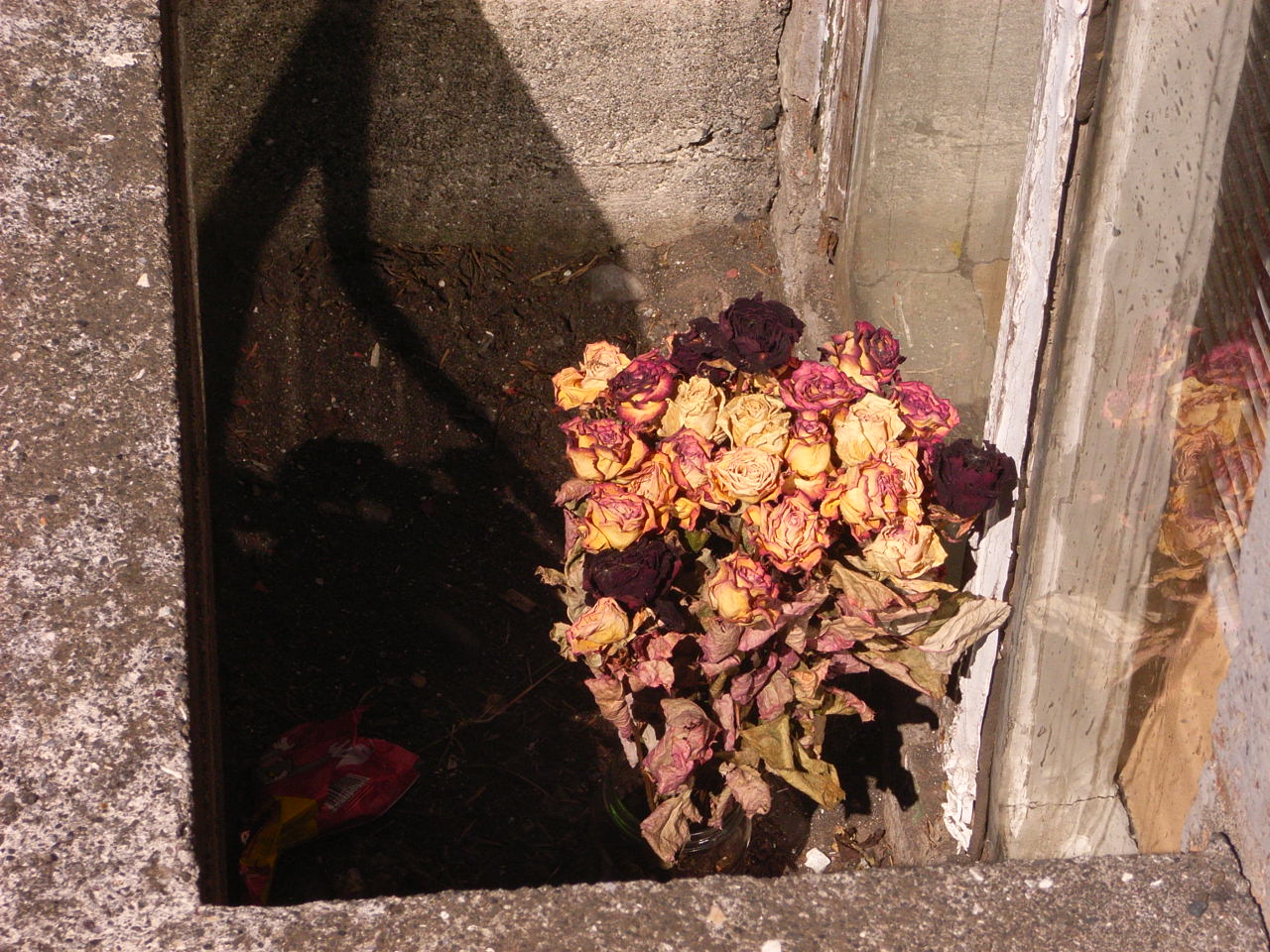 f0257756_23183614.jpg