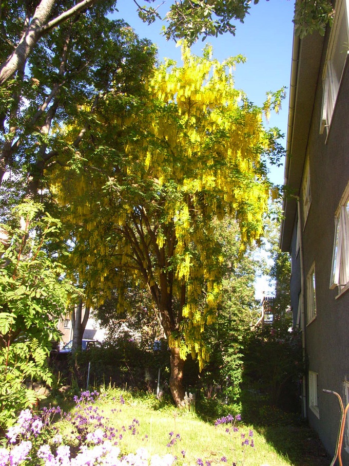 f0257756_23203123.jpg