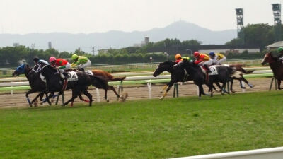 函館競馬開催_b0106766_2363446.jpg