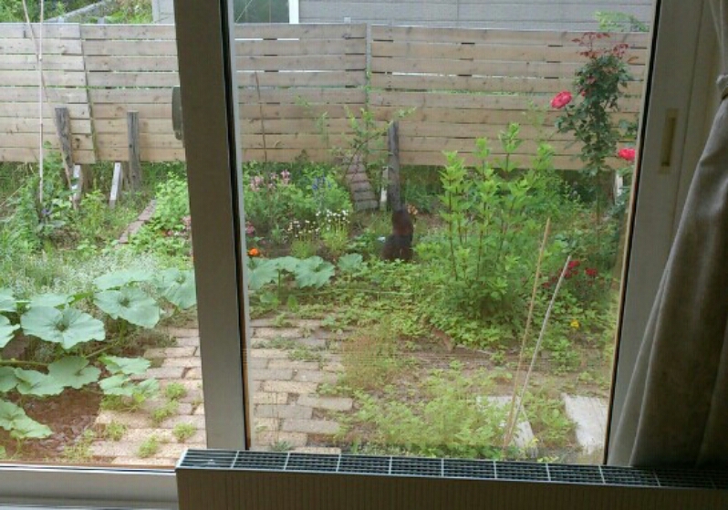 c0311170_7154527.jpg