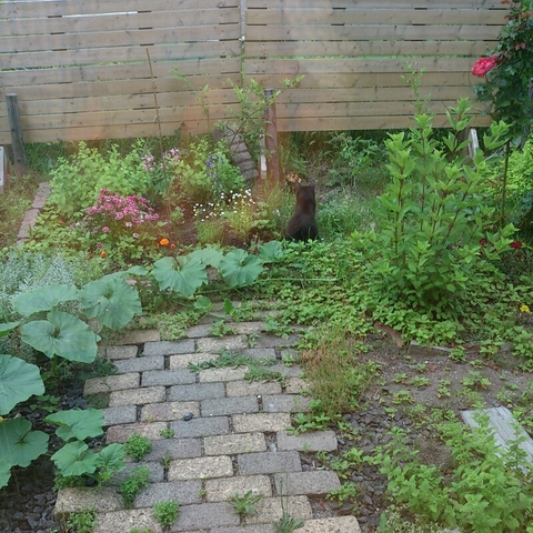 c0311170_7161678.jpg