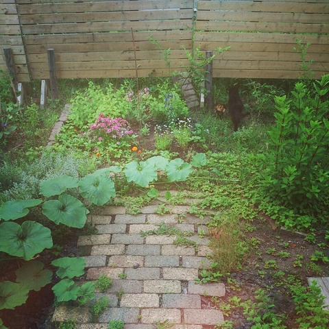 c0311170_719424.jpg
