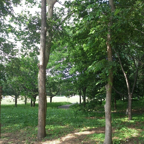 c0311170_7242735.jpg