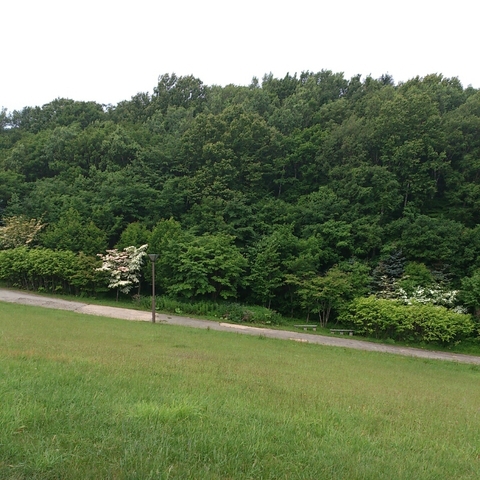 c0311170_7253477.jpg