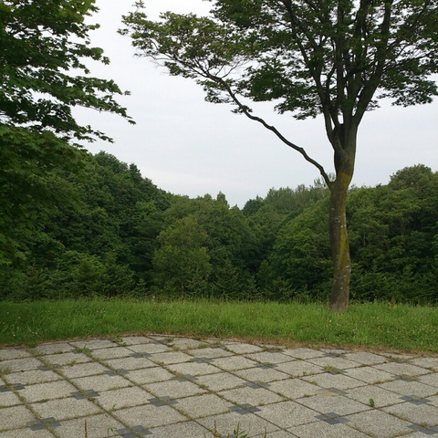 c0311170_726465.jpg