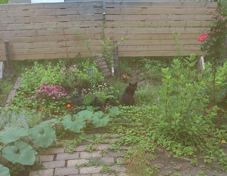 c0311170_733571.jpg