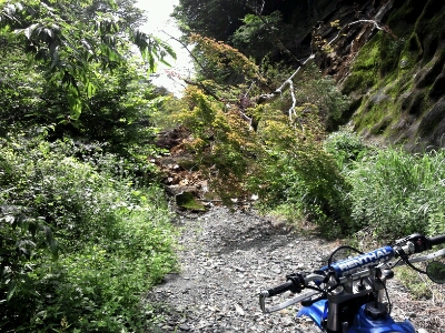 e0255775_17231275.jpg