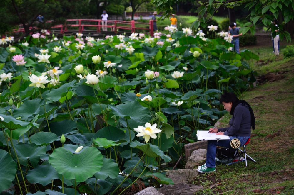 今朝も桜ノ宮の蓮池へ_a0301676_11393246.jpg