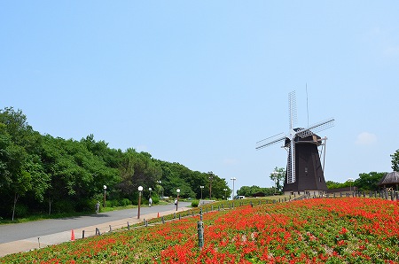 c0229483_19133451.jpg