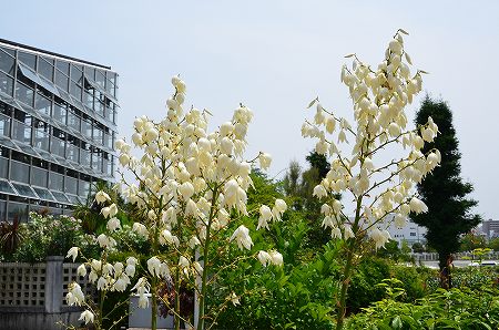 c0229483_20153139.jpg