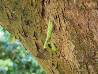 d0240983_2015040.jpg