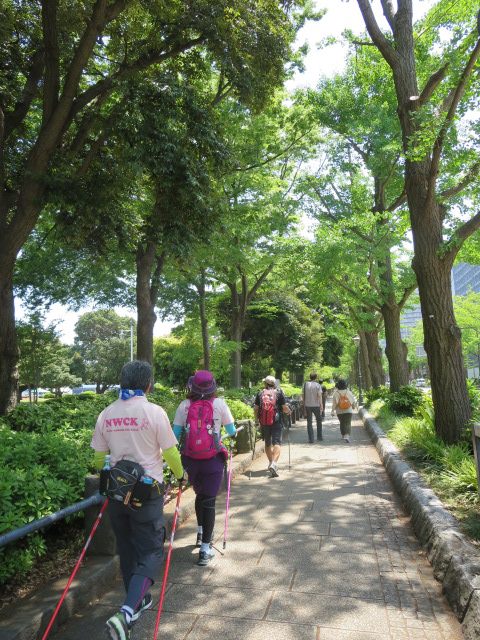 5月24日(土) おでかけNW in 横浜_c0222190_14551165.jpg